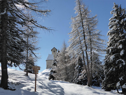 Nel silenzio del bosco Lana 1 suedtirol.info