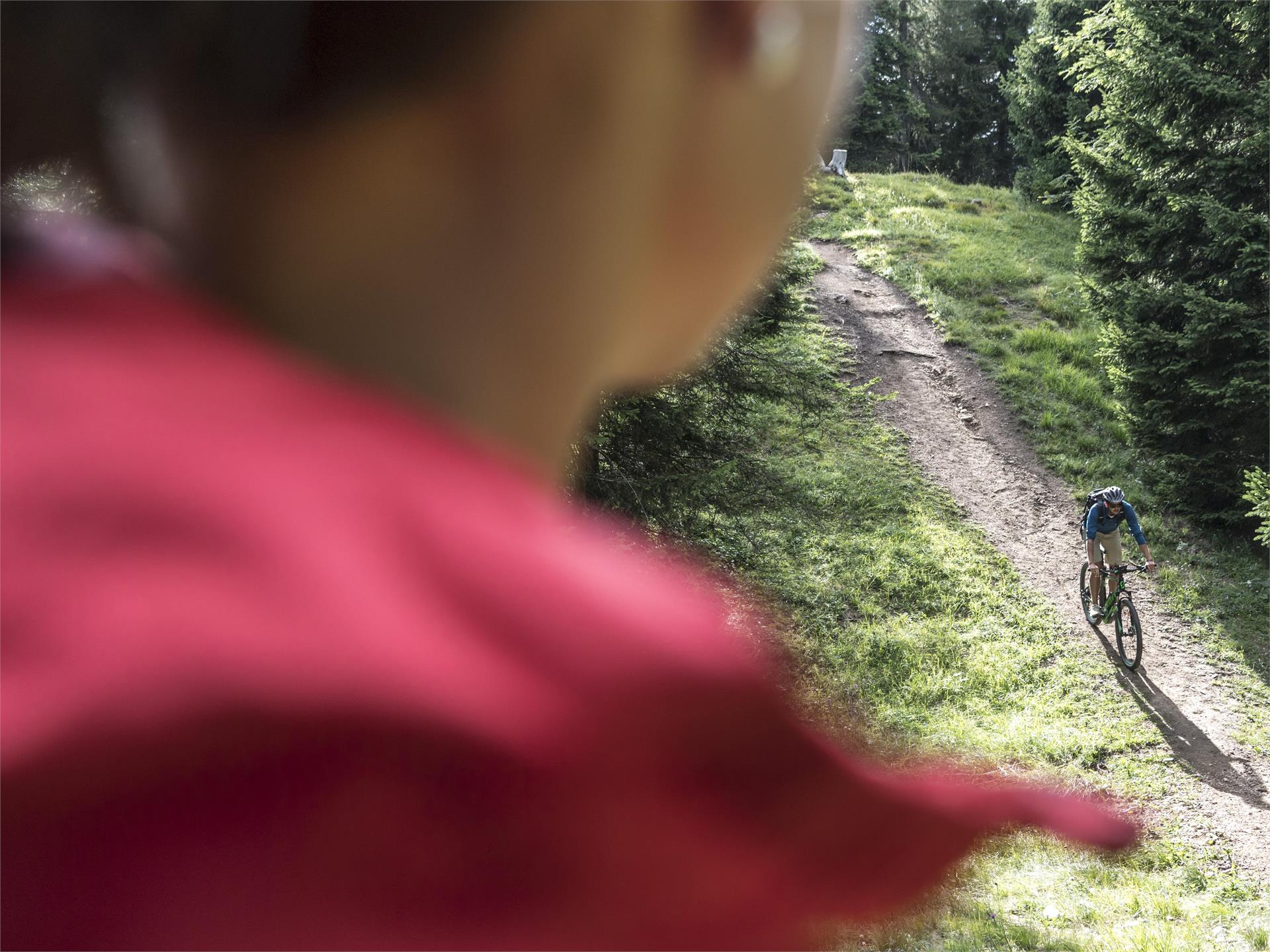 Kaltern Bike Graveltour: Regglberg Almenrunde Kaltern an der Weinstraße 1 suedtirol.info