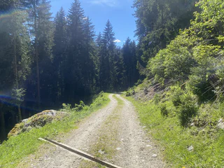 Rundwanderung Telfes - Ratschings - #7 - suedtirol.info