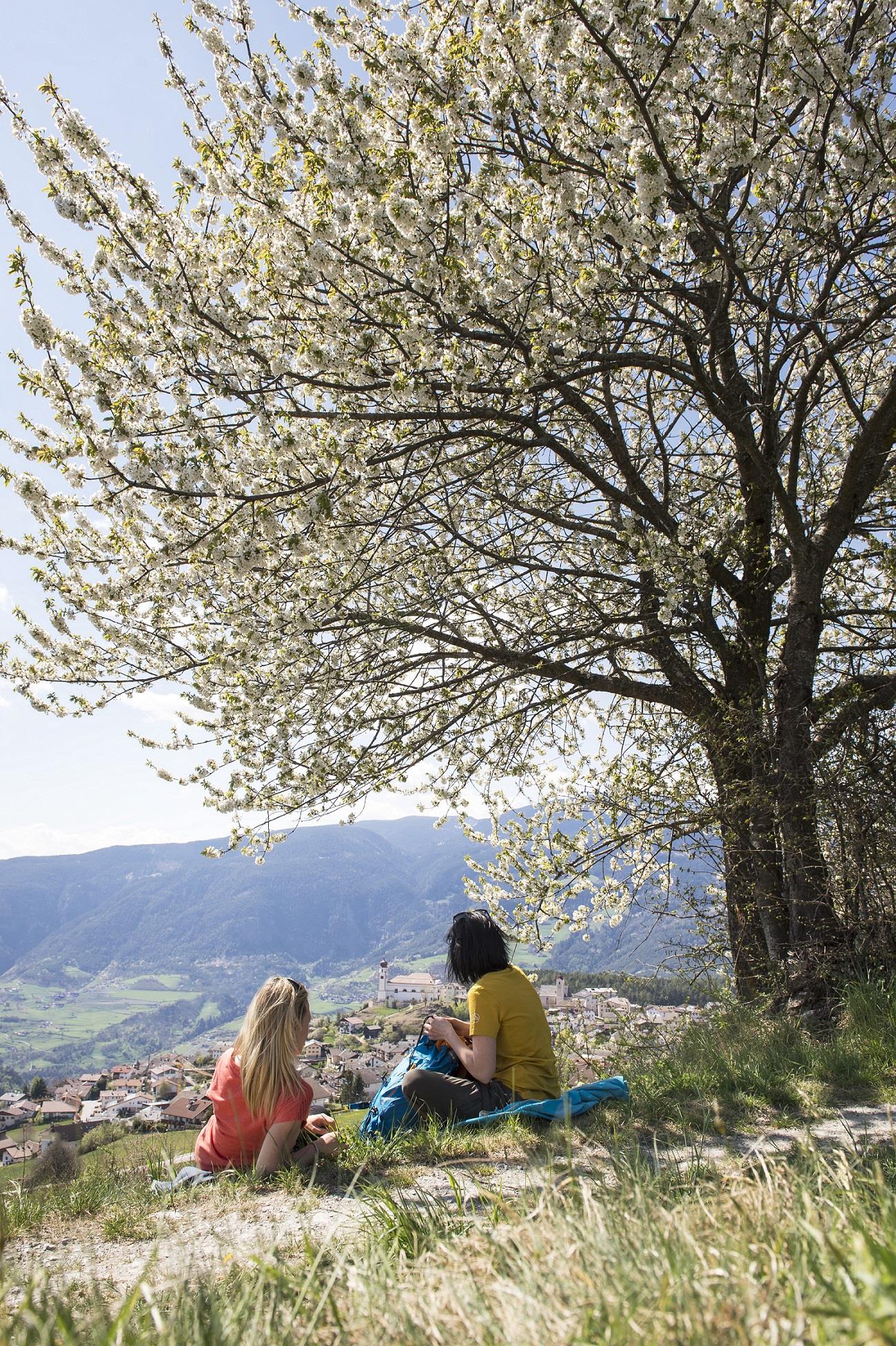 Round walking Kasserol Lajen/Laion 1 suedtirol.info