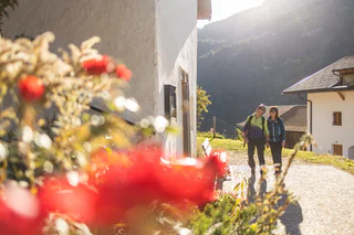 Rundwanderung: Montan - Glen - Gschnon - Gsteig - Montan - Montan - #4 - suedtirol.info