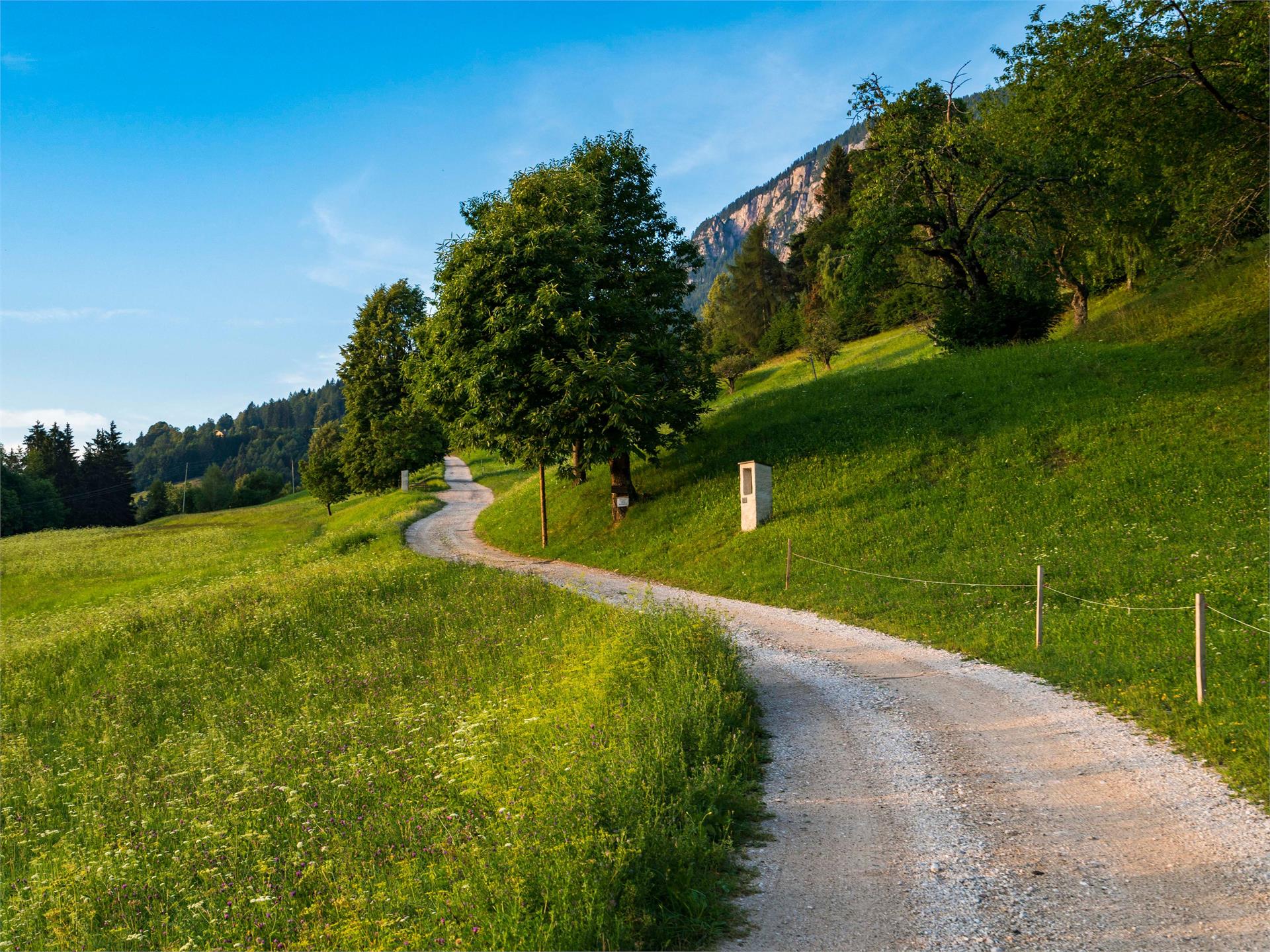 Percorso circolare Mühlenweg e Grissiano Tesimo 4 suedtirol.info