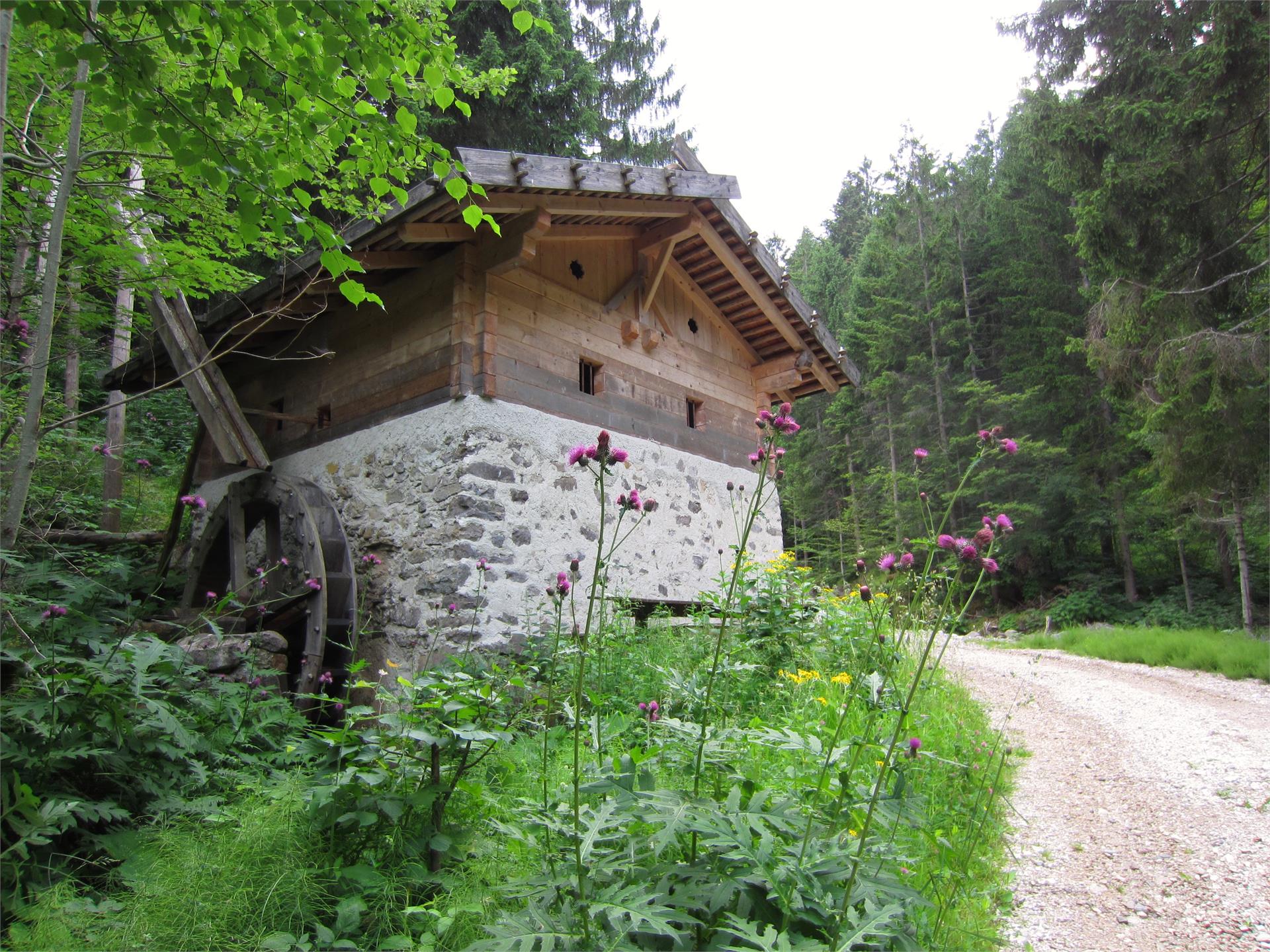 Percorso circolare Mühlenweg e Grissiano Tesimo 1 suedtirol.info