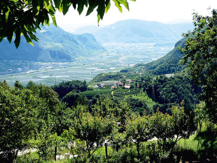 Escursione circolare da Sirmiano di Sotto, Grissiano, Sirmiano di Sopra, Sirmiano di Sotto Nalles 1 suedtirol.info