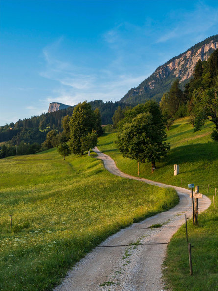 Escursione circolare da Sirmiano di Sotto, Grissiano, Sirmiano di Sopra, Sirmiano di Sotto Nalles 2 suedtirol.info