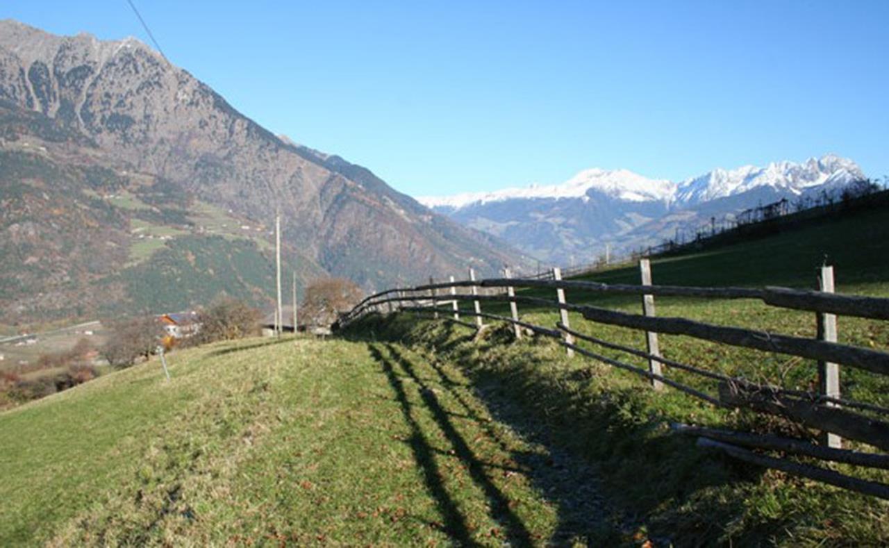 Rundwanderung Töll - Quadrat - Marling Partschins 1 suedtirol.info