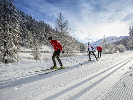 Rundloipe "La pitschna" - Palüds in Fuldera Taufers im Münstertal/Tubre 1 suedtirol.info