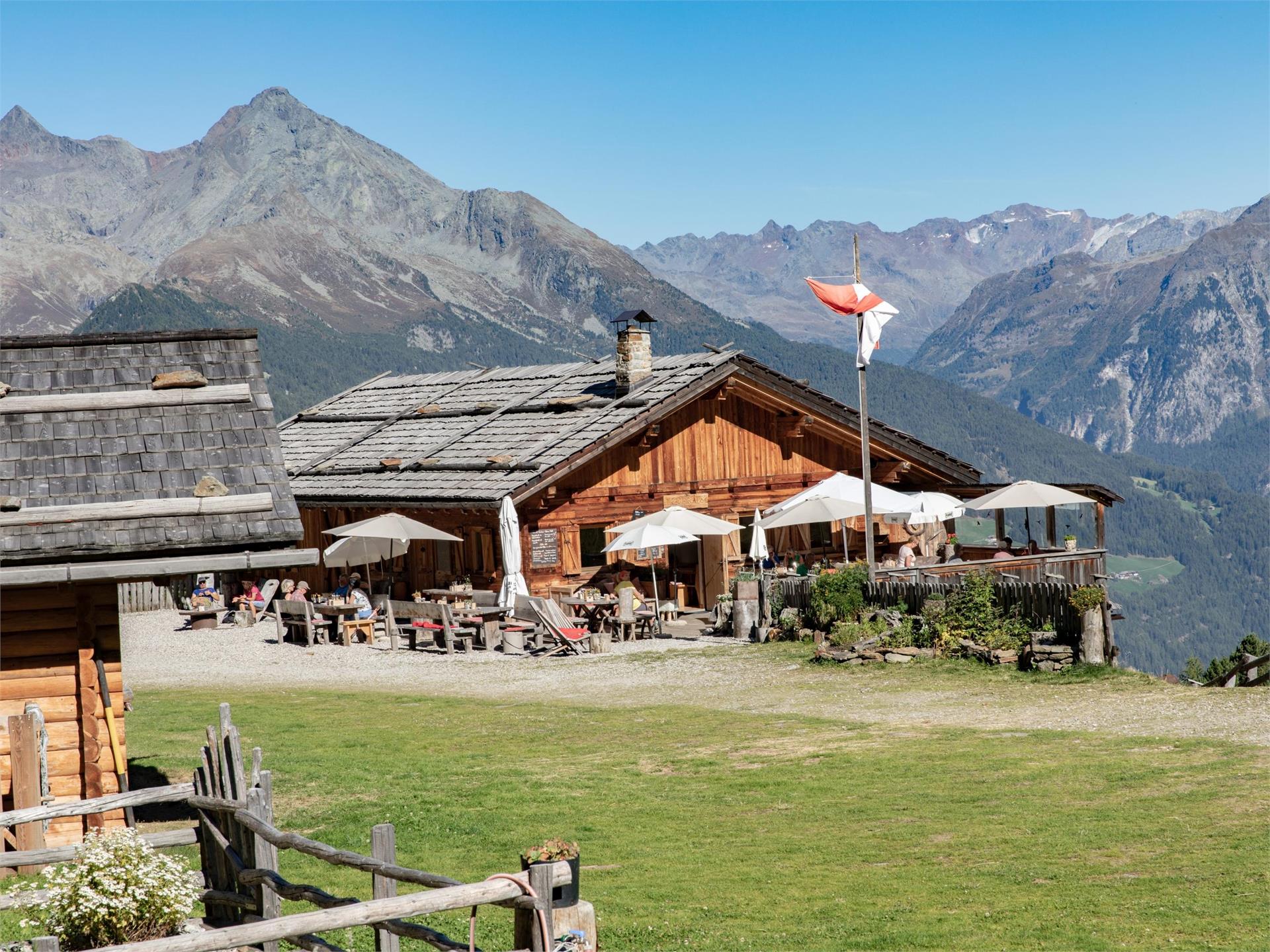 Giro escursionistico Trejer Alm (Äußere Michlreis Alm) [malga] – Sonnklar [Dosso] Campo Tures 5 suedtirol.info