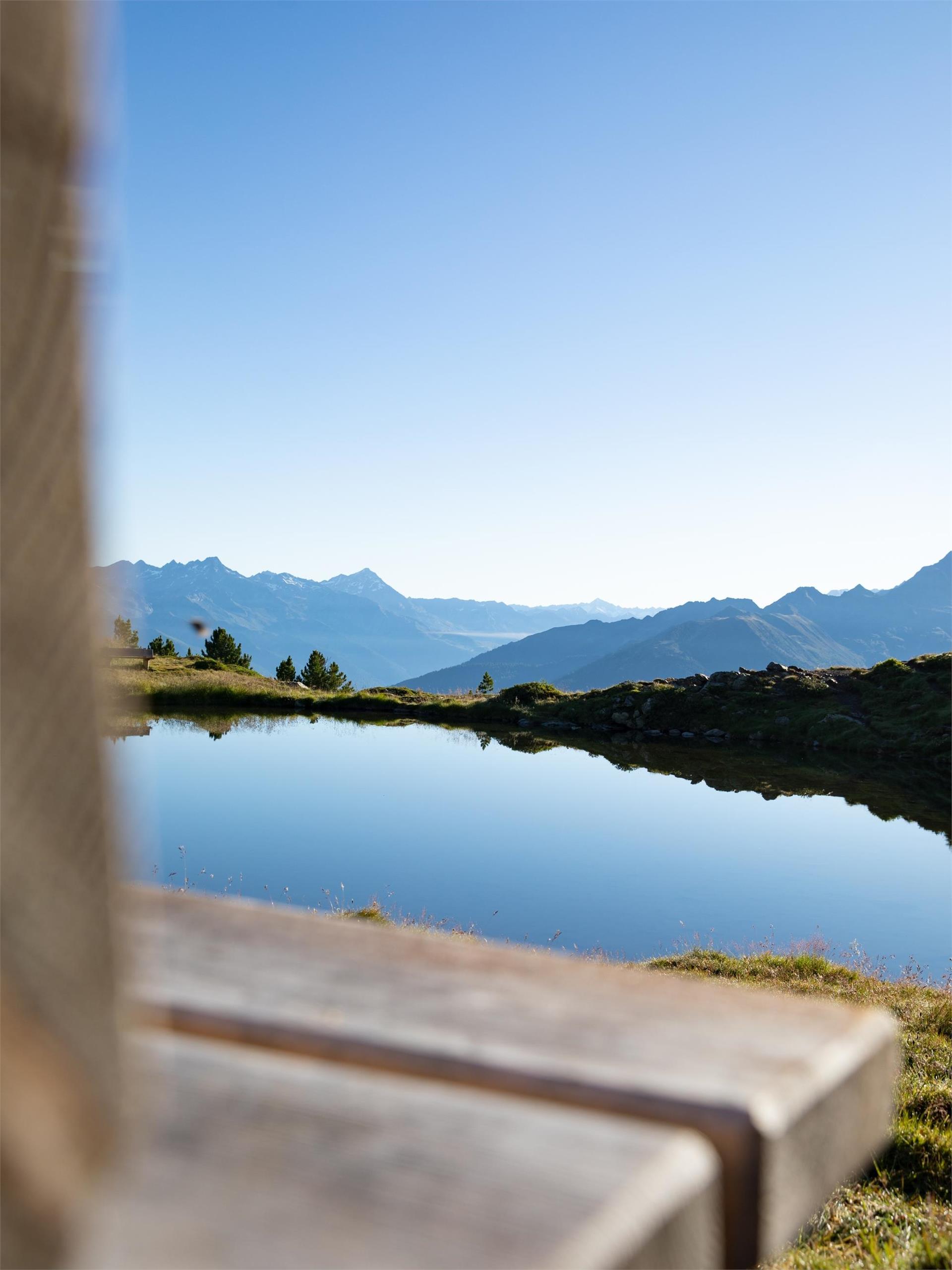 Giro escursionistico Trejer Alm (Äußere Michlreis Alm) [malga] – Sonnklar [Dosso] Campo Tures 6 suedtirol.info