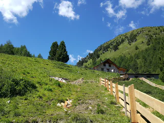 Rundwanderung Watles Panoramatour - Mals - #3 - suedtirol.info