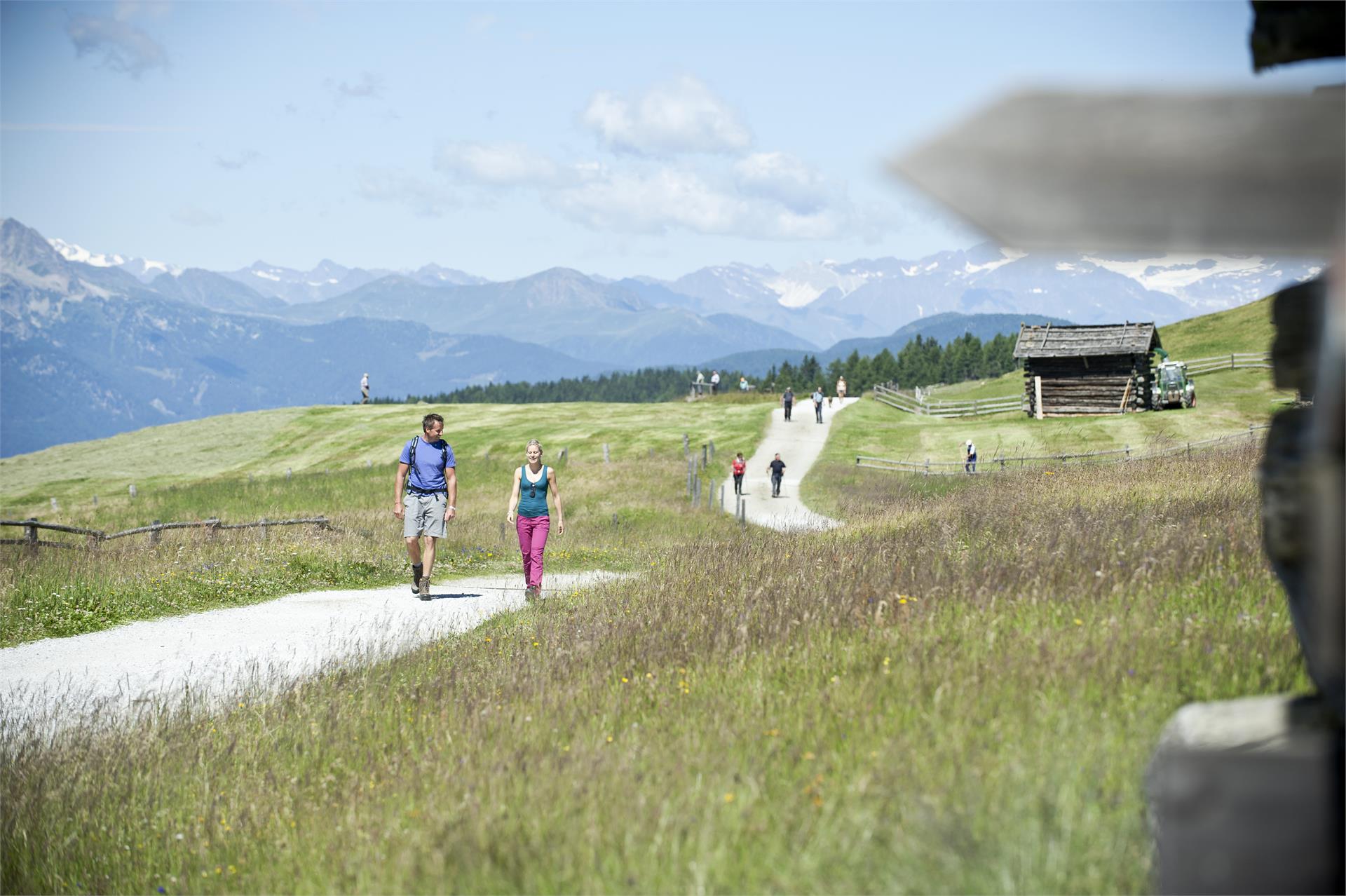 Rodenecker-Lüsner Alm Rodeneck 2 suedtirol.info