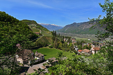 Escursione circolare da Nalles al Bittnerhof a Gaido Nalles 2 suedtirol.info