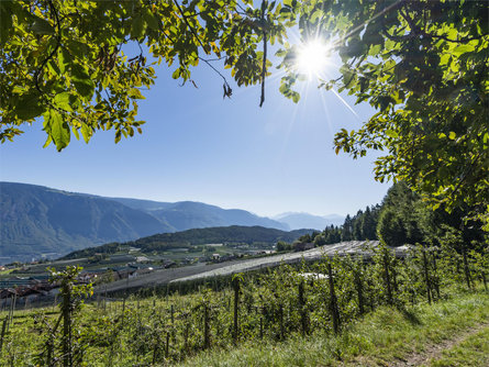 Sentiero panoramico circolare Tesimo 2 suedtirol.info