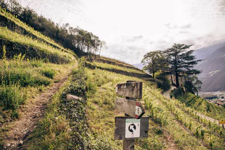 Rundwanderung Sonnenberg - Naturns - #2 - suedtirol.info