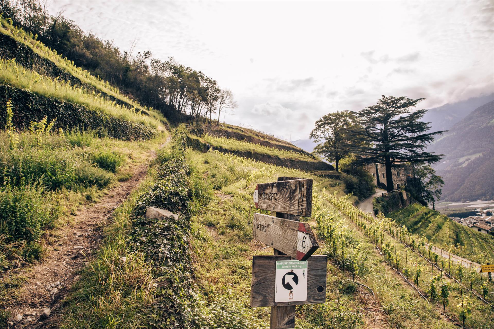 Giro dei masi sul Monte Sole Naturno 2 suedtirol.info