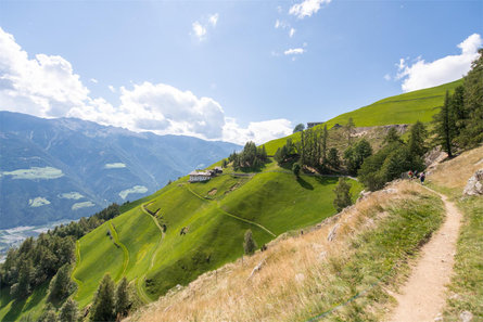 Giro dei masi sul Monte Sole Naturno 1 suedtirol.info