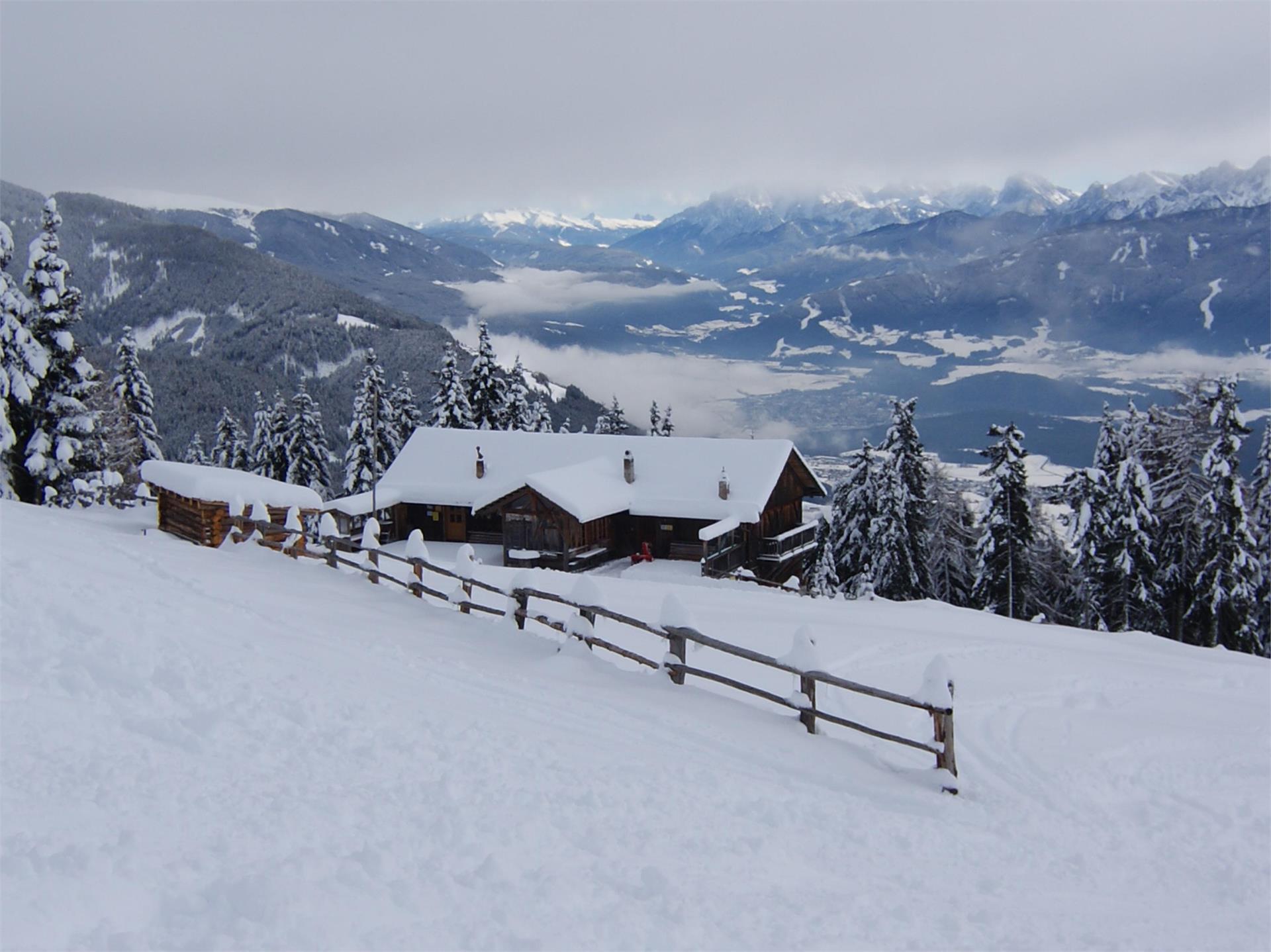 Pista da slittino Pertinger Alm: Divertimento invernale a Terento Terento 4 suedtirol.info