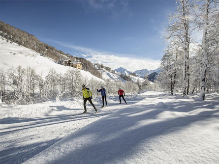 Rundloipe "La pretensiusa" - Fuldera Taufers im Münstertal/Tubre 1 suedtirol.info