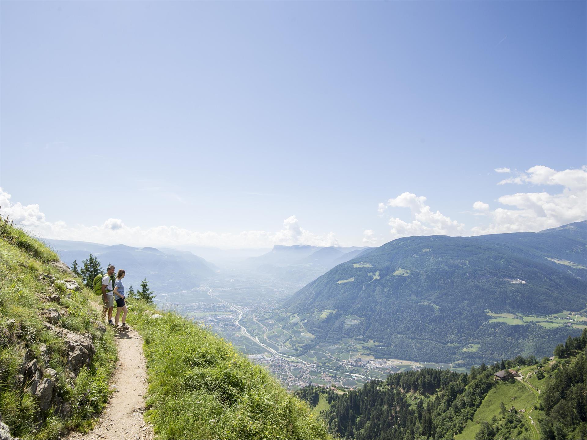 Circular hike along the Merano High Mountain Trail Algund/Lagundo 1 suedtirol.info