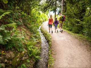 Rundwanderung auf dem Schenner Waalweg