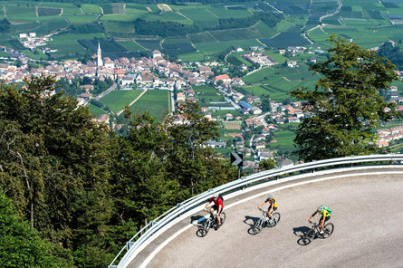 Kaltern Bike Racing bike tour Mendelpass-Gampenpass Kaltern an der Weinstraße/Caldaro sulla Strada del Vino 2 suedtirol.info