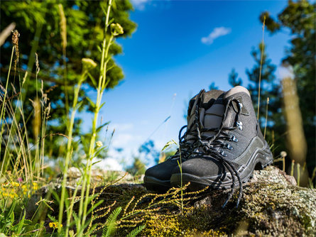 Circular hike via Tschengg and Larchweg Tisens/Tesimo 2 suedtirol.info