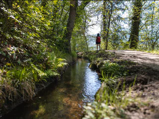 Rundwanderung auf dem Maiser Waalweg - Schenna - #1 - suedtirol.info