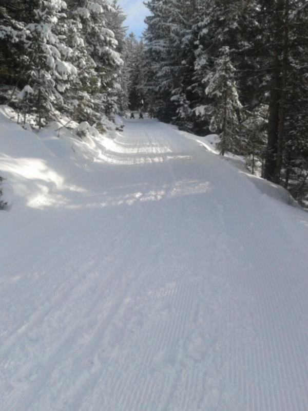 Rodelbahn Raschötz St.Ulrich 3 suedtirol.info