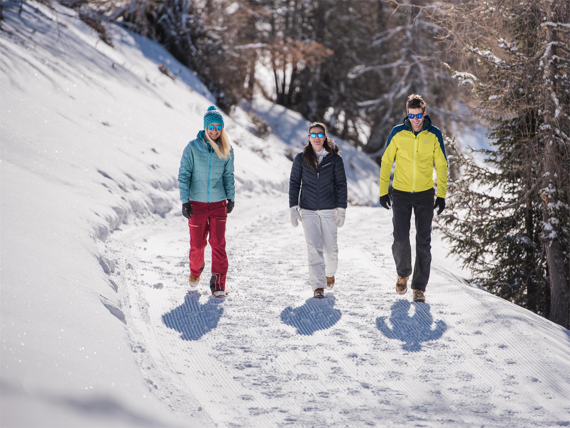 Schneeschuhwanderung: Wildbad - Jora Hütte - Riese Haunold Hütte Innichen 2 suedtirol.info