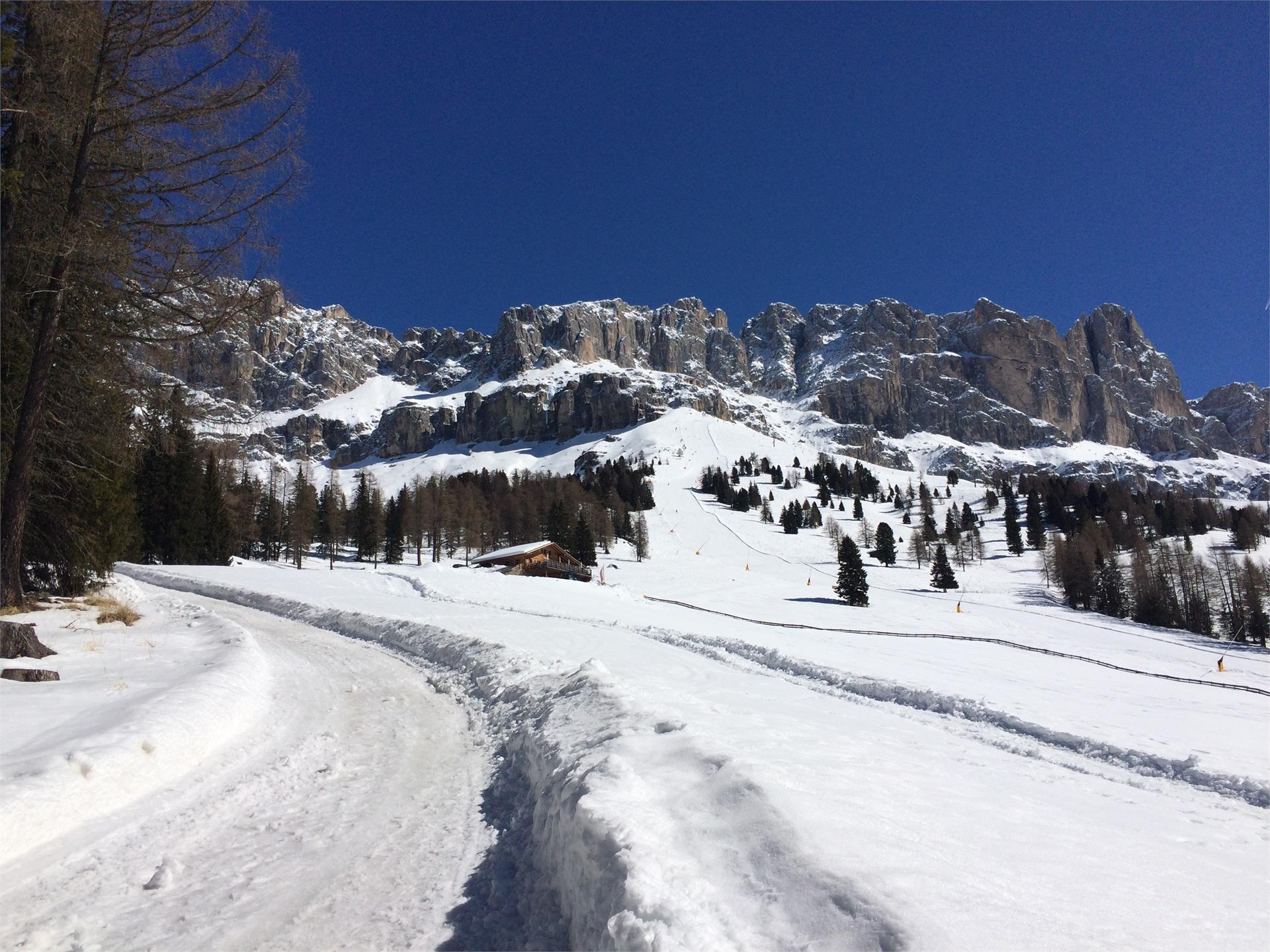 Schneeschuhwanderung zur Messnerjoch Hütte Welschnofen 2 suedtirol.info