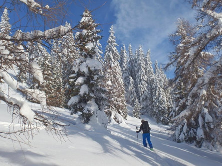 Sci alpinimso Pista d'ascesa Ladurns Brennero 1 suedtirol.info