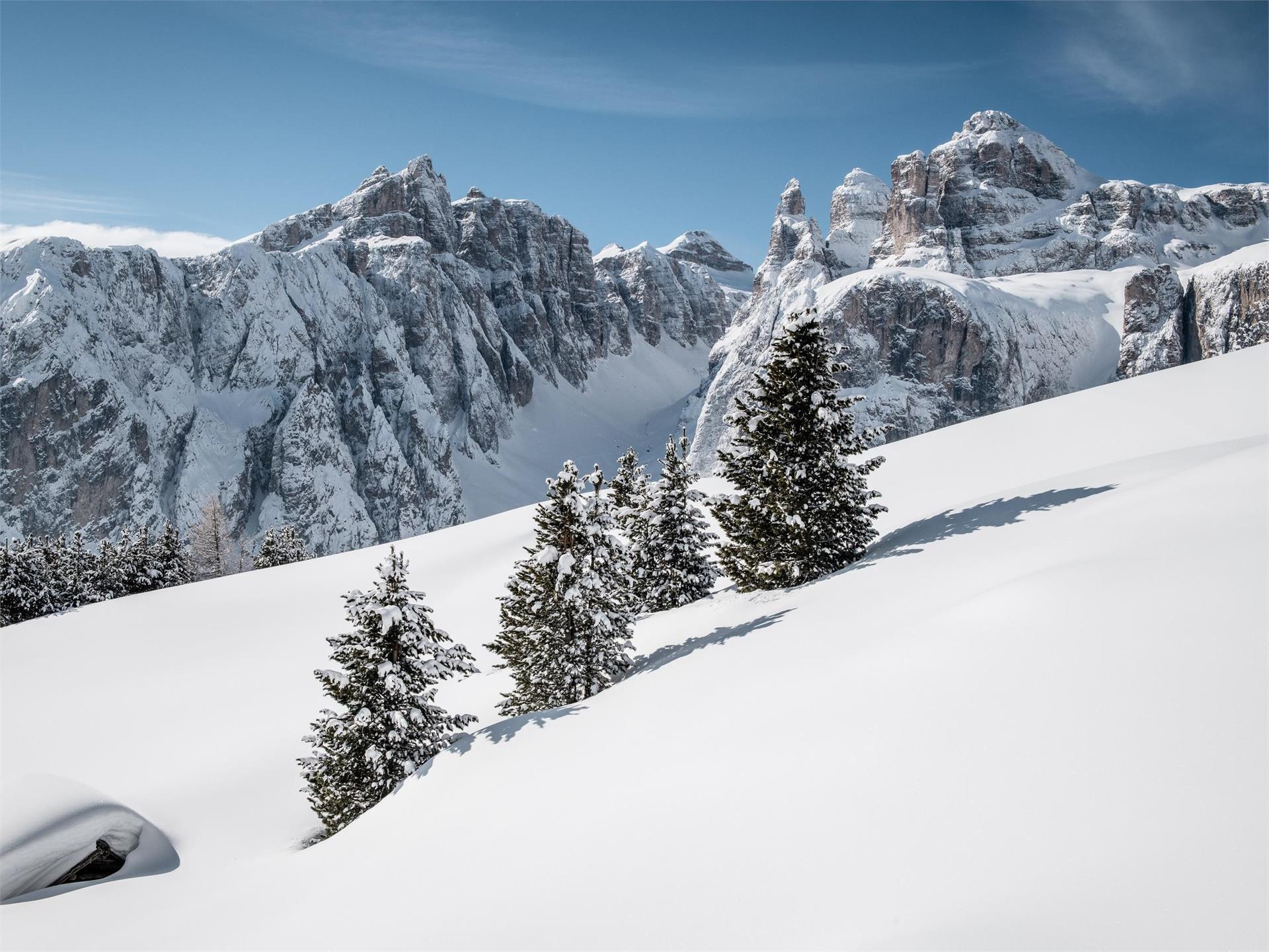 Discesa a neve fresca dalla Val Mezdí nel gruppo del Sella Corvara 1 suedtirol.info