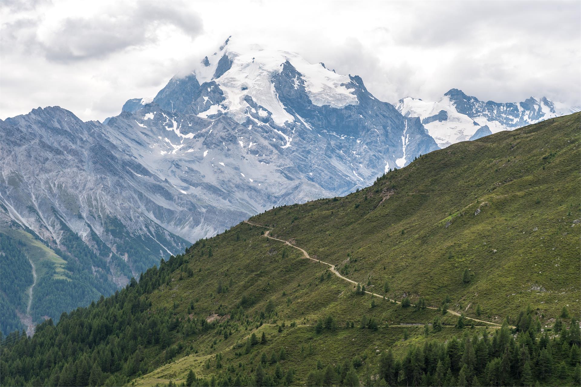 Stilfserjoch Stelvio Mountain Run Prad am Stilfser Joch/Prato allo Stelvio 1 suedtirol.info