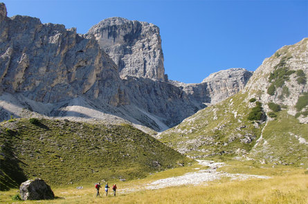 Escursione estiva: Lungiarü - Muntcörta - Antersasc - Crep dales 12 San Martino 3 suedtirol.info