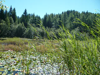 Saumpfad Altrei - Truden - Altrei - #3 - suedtirol.info