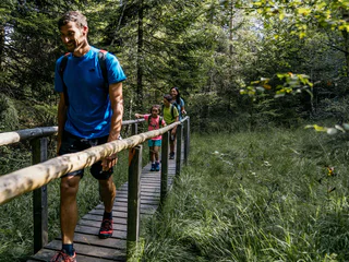 Saumpfad Altrei - Truden - Altrei - #1 - suedtirol.info