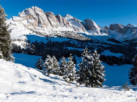 Snowshoe hike admiring the Odle Group S.Crestina Gherdëina/Santa Cristina Val Gardana 6 suedtirol.info