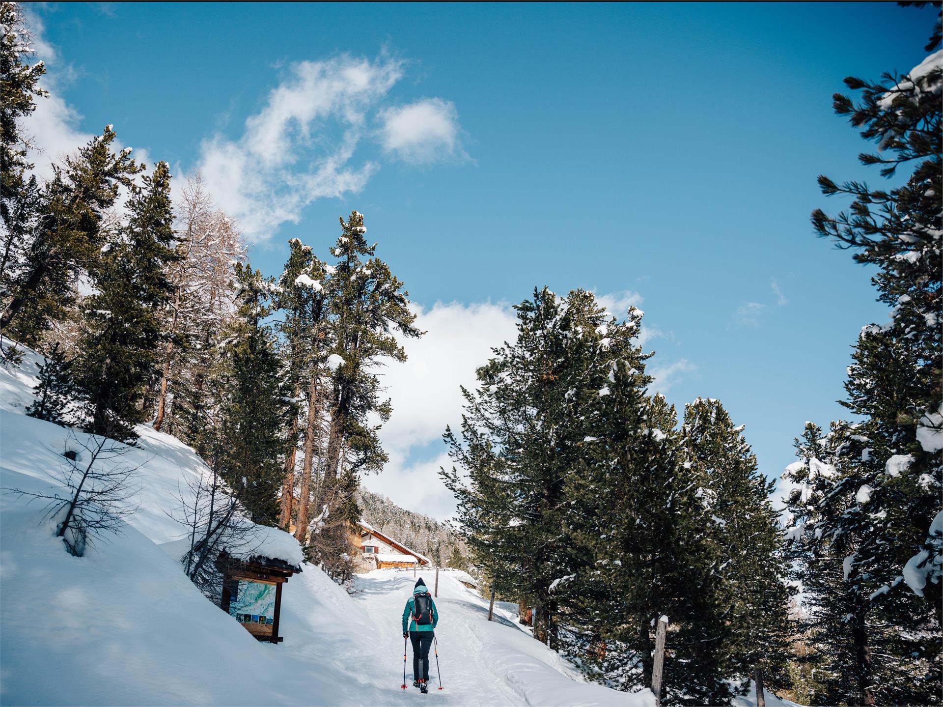 Schneeschuhwanderung zur Lyfialm