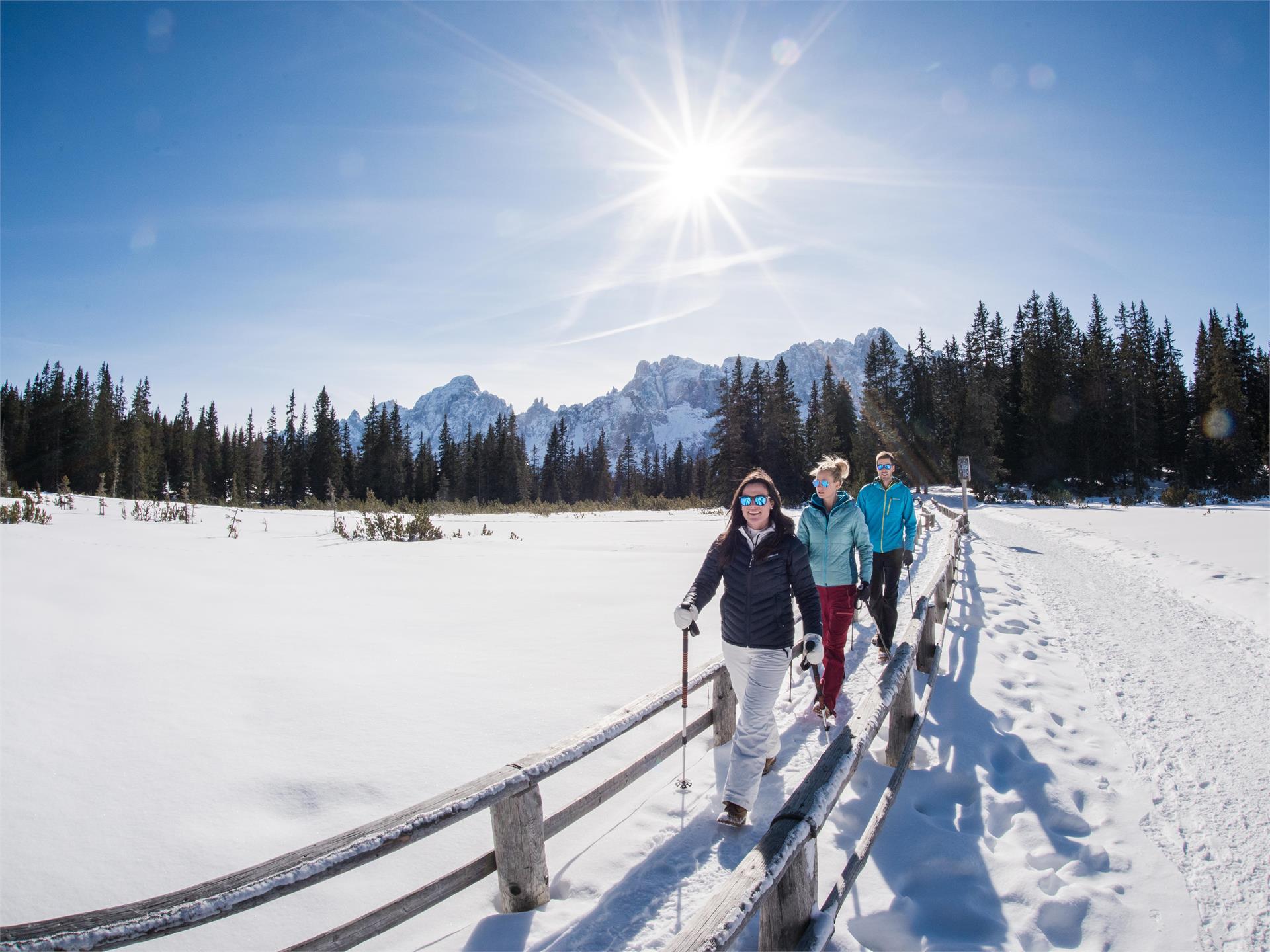 Hike to the mountain pastures II & Coltrondo Sexten/Sesto 1 suedtirol.info