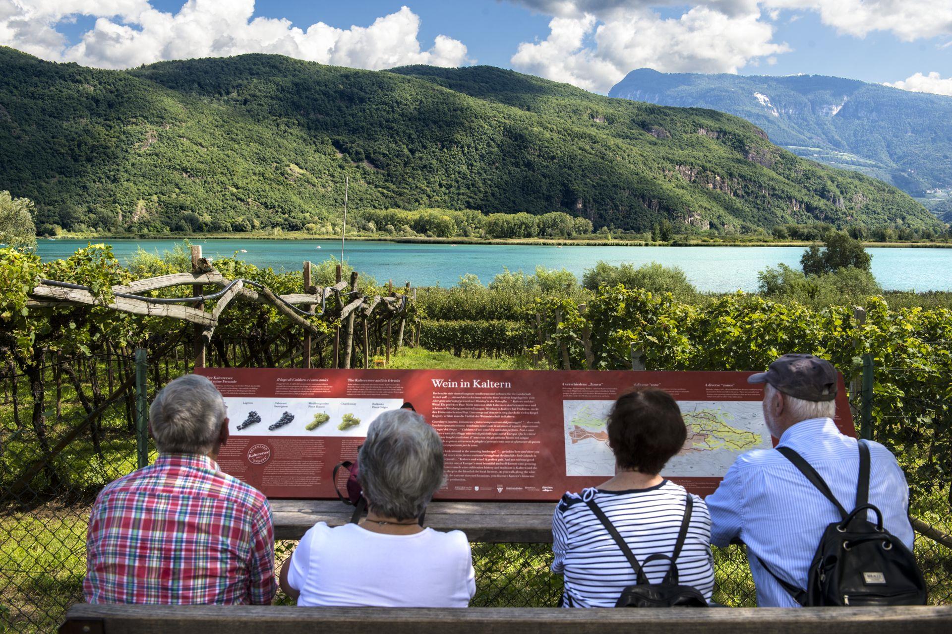 Circular Hike: Kalterer See Lake Kaltern an der Weinstraße/Caldaro sulla Strada del Vino 4 suedtirol.info