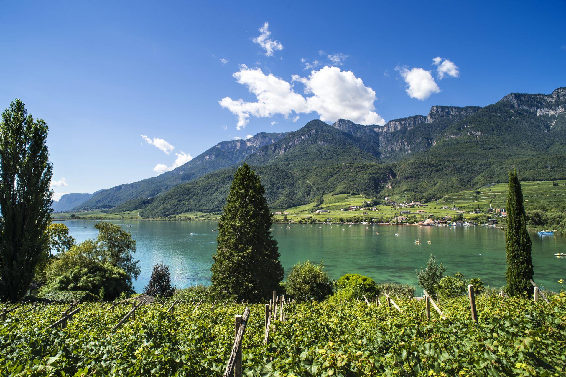 Circular Hike: Kalterer See Lake Kaltern an der Weinstraße/Caldaro sulla Strada del Vino 1 suedtirol.info