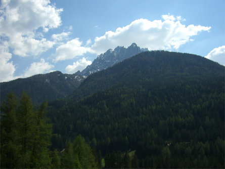 Summer hiking tour: Neutoblach/Dobbiaco Nuova - Elsler Kaser - Innichen/San Candido Innichen/San Candido 1 suedtirol.info