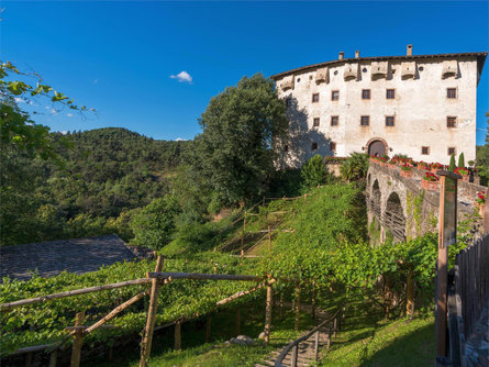 Castel Katzenzungen and the Versoaln Vine and Red Path Tisens/Tesimo 1 suedtirol.info