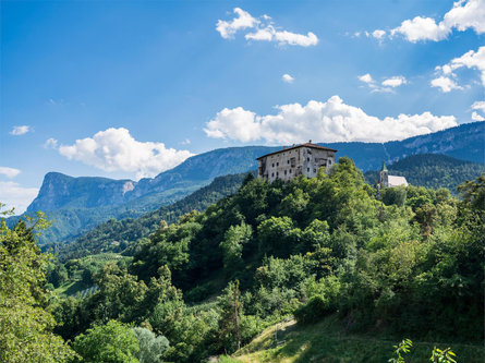 Castel Katzenzungen and the Versoaln Vine and Red Path Tisens/Tesimo 5 suedtirol.info