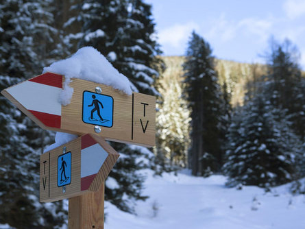 Schneeschuhwanderung im Fichtenwald Ulten 1 suedtirol.info