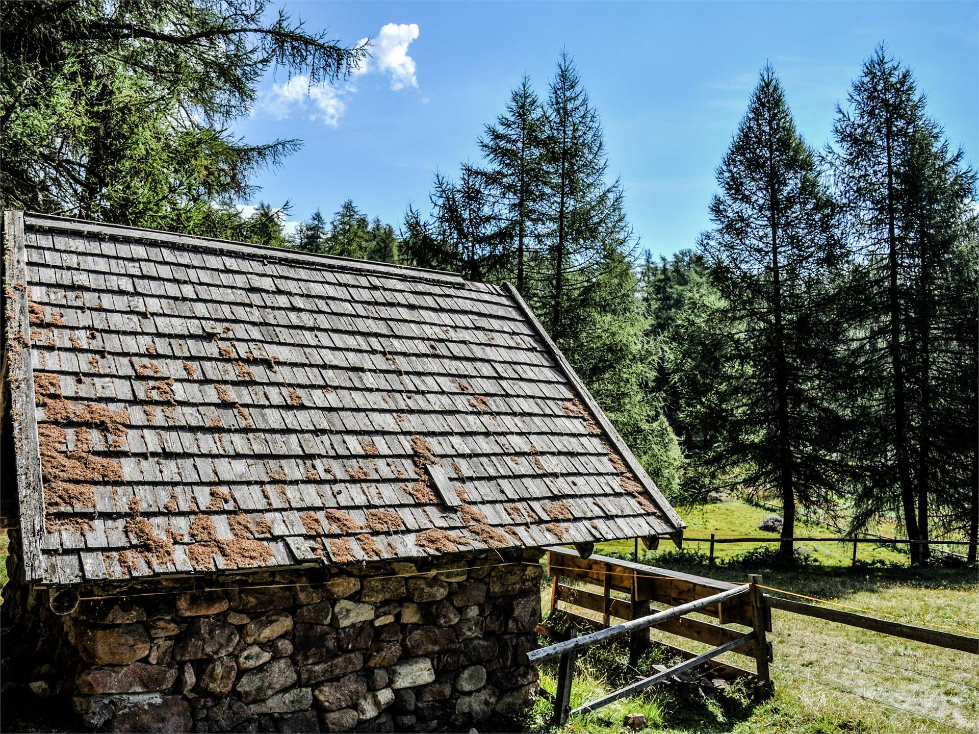 Sentiero delle leggende di Anterivo Anterivo 5 suedtirol.info