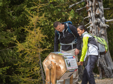 Summer hike from Baita Gardonè into the dragon forest Deutschnofen/Nova Ponente 1 suedtirol.info