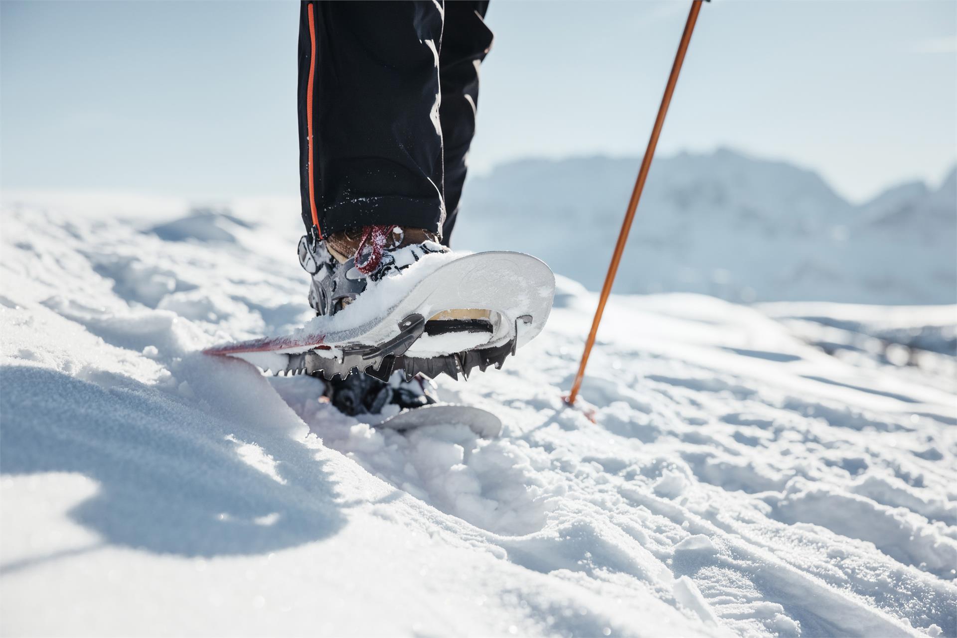 Snowshoe hike through the Armentara meadows Badia 2 suedtirol.info