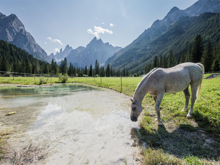 Hiking path: Sesto/Moso – Valley Fiscalina – Fondo Valle hut Sexten/Sesto 1 suedtirol.info