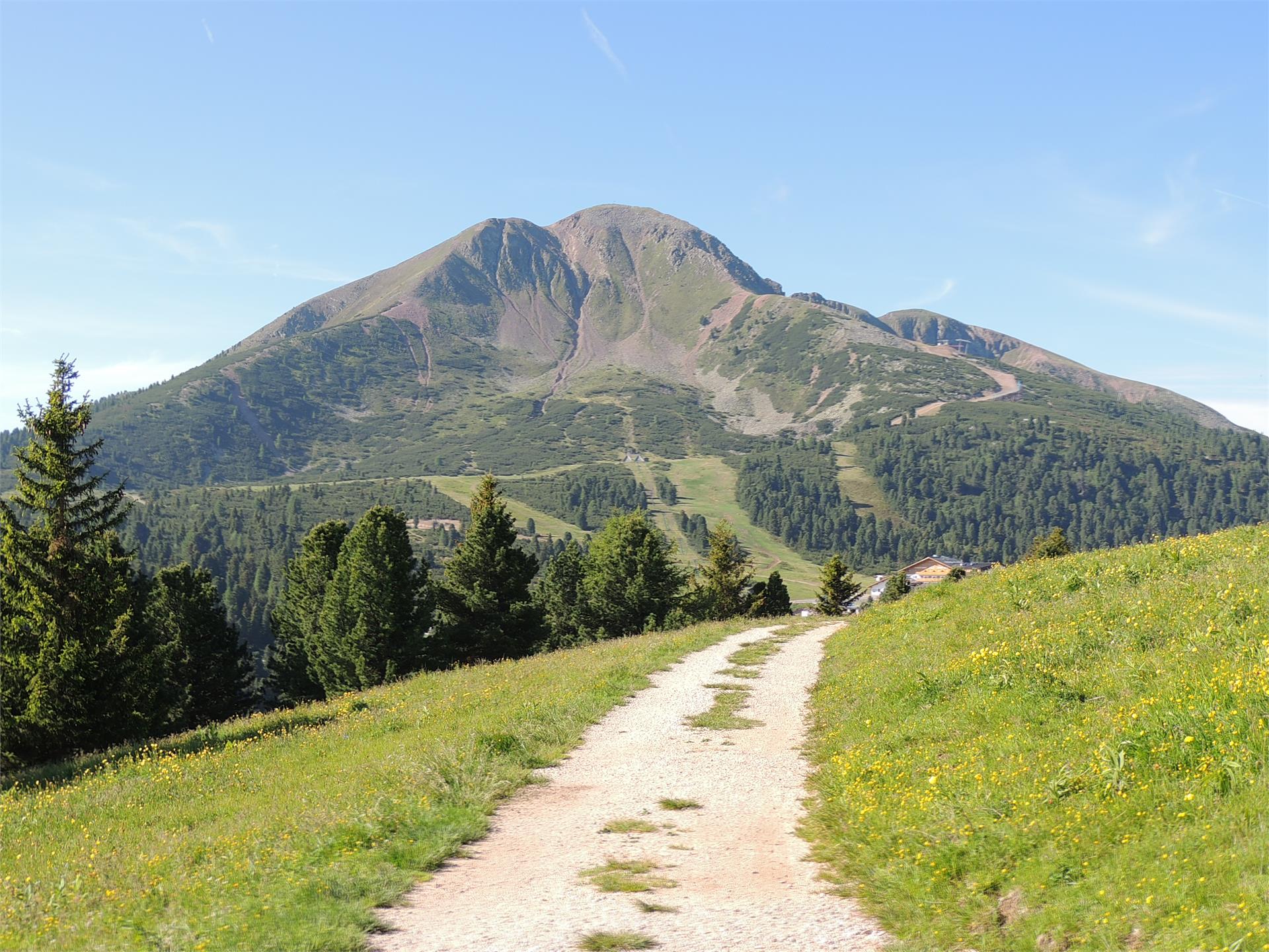 Walking on the Jochgrimm Aldein/Aldino 1 suedtirol.info